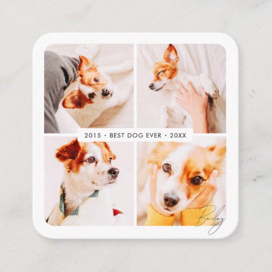 ペット最高のメモリドッグエバモダンー写真コラージュ スクエア名刺 (正面)