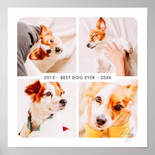 ペット最高のメモリドッグエバモダンー写真コラージュ ポスター (正面)