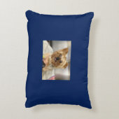 ペット枕 アクセントクッション (裏面(縦))