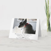 ペット死、悔やみや弔慰 カード (裏面)