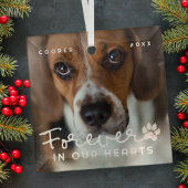 ペット永遠に私たちのハートモダン写真 ガラスオーナメント