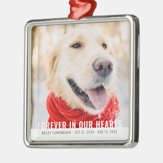 ペット永遠に私たちのハートモダン写真 メタルオーナメント (左)