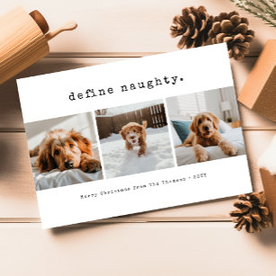 ペット犬いけなの写真のおもしろいクリスマスを定義 シーズンカード