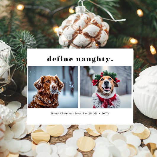 ペット犬いけなの写真のおもしろいクリスマスを定義 シーズンカード