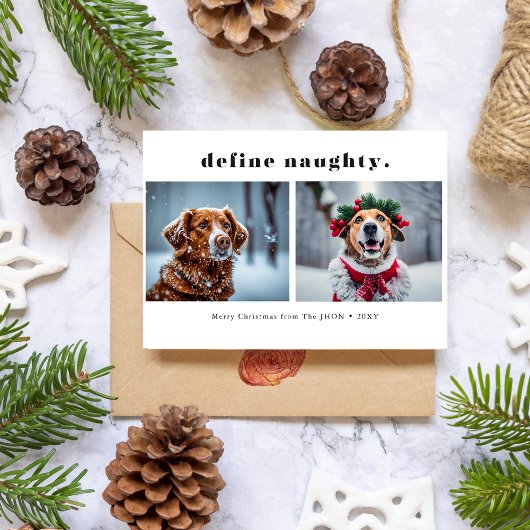 ペット犬いけなの写真のおもしろいクリスマスを定義 シーズンカード