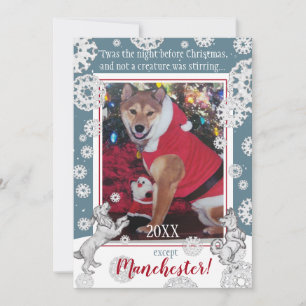 ペット犬のスノーフレークおもしろい動物のクリスマスフォト シーズンカード