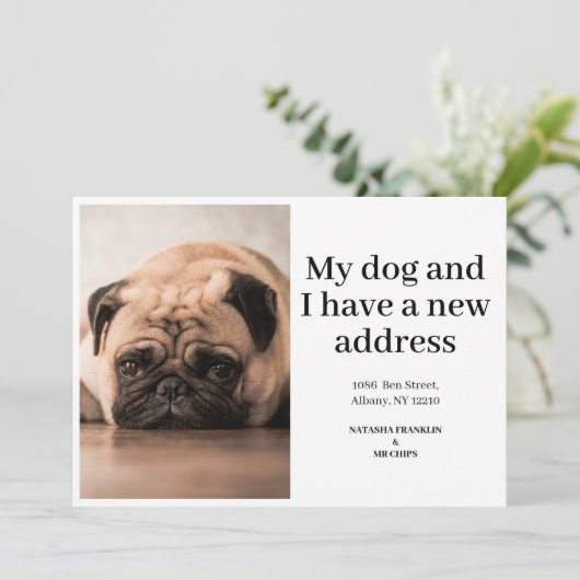 ペット犬の写真の新しいアドレス引っ越しました発表 (スタンド正面)