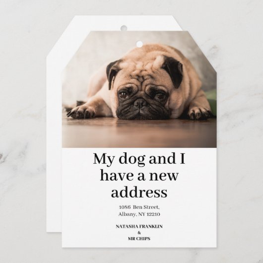 ペット犬の写真の新しいアドレス引っ越しました発表 (正面/裏面)