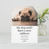 ペット犬の写真の新しいアドレス引っ越しました発表 (スタンド正面)