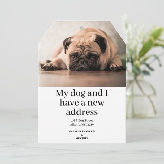 ペット犬の写真の新しいアドレス引っ越しました発表 (スタンド正面)