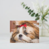 ペット犬の子犬のカスタム写真 ポストカード (スタンド正面)