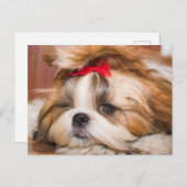 ペット犬の子犬のカスタム写真 ポストカード (正面/裏面)