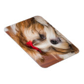 ペット犬の子犬のカスタム写真 マグネット (右側)