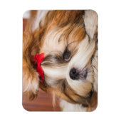 ペット犬の子犬のカスタム写真 マグネット (縦)