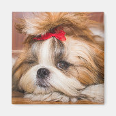 ペット犬の子犬のカスタム写真 マグネット (正面)