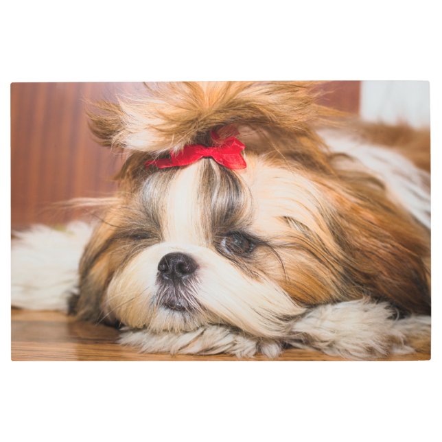 ペット犬の子犬のカスタム写真 メタルプリント (正面)