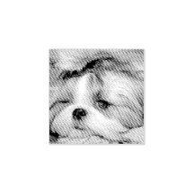 ペット犬の子犬のカスタム写真