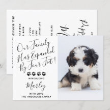 ペット犬の子犬の新しいシャワー