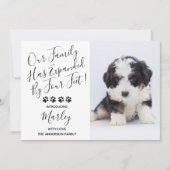 ペット犬の子犬の新しい発表 招待状 (正面)