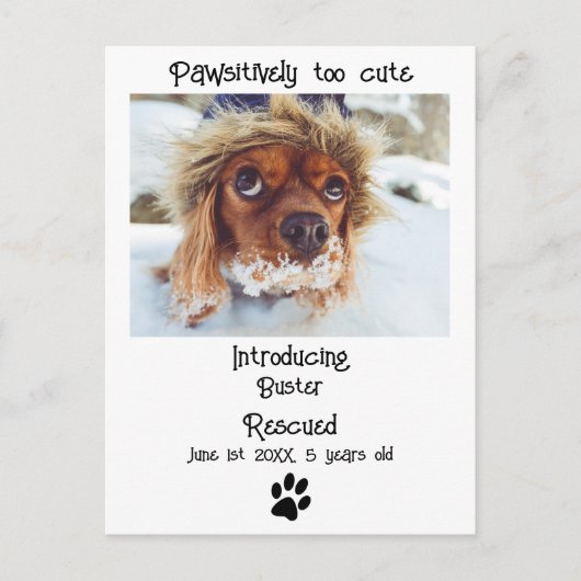 ペット犬の新しい発表 ポストカード (正面)