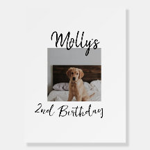 ペット犬の猫の動物の誕生日の写真モダンシンプル