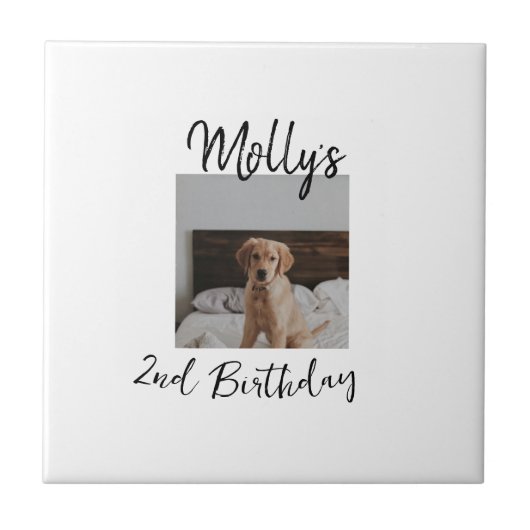 ペット犬の猫の動物の誕生日の写真モダンシンプル タイル (正面)