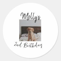 ペット犬の猫の動物の誕生日の写真モダンシンプル