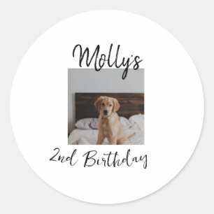 ペット犬の猫の動物の誕生日の写真モダンシンプル ラウンドシール