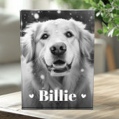 ペット犬の猫の名前のハート フォトブロック