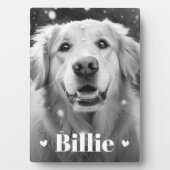 ペット犬の猫の名前のハート フォトプラーク (正面)