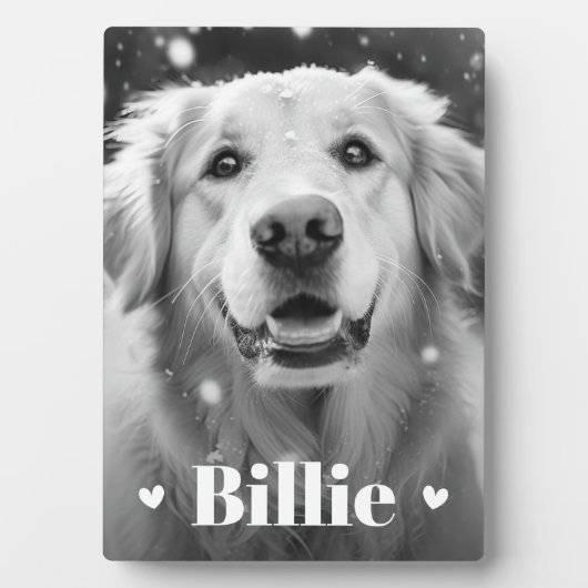 ペット犬の猫の名前のハート フォトプラーク (正面)