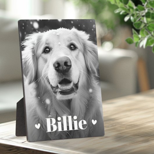 ペット犬の猫の名前のハート フォトプラーク