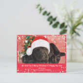 ペット犬パーソナライズされた好きメリークリスマス ポストカード (スタンド正面)