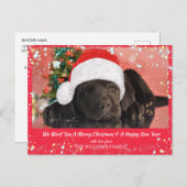 ペット犬パーソナライズされた好きメリークリスマス ポストカード (正面/裏面)