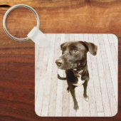 ペット犬2枚の写真 キーホルダー (正面)