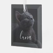 ペット猫の写真名 ガラスオーナメント (正面左)