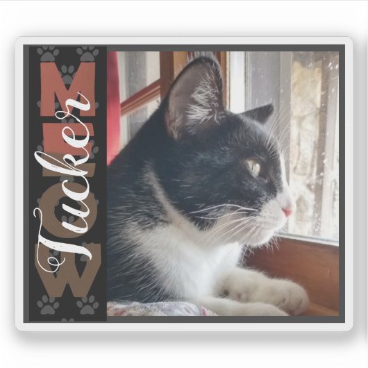 ペット猫の名前をカスタムすると写真 シール (正面)