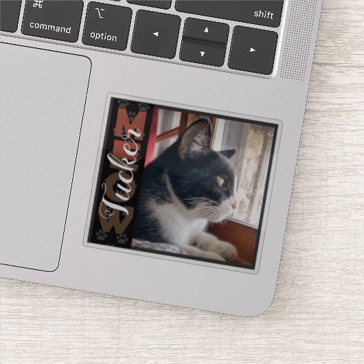 ペット猫の名前をカスタムすると写真 シール (詳細)