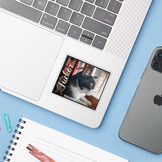 ペット猫の名前をカスタムすると写真 シール (ノートパソコンとiPhone)