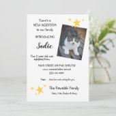 ペット猫の養子新しいペット発表フラットカード 案内状 (スタンド正面)