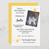 ペット猫の養子新しいペット発表フラットカード 案内状 (正面/裏面)