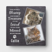 ペット猫記念館 フォトプラーク (正面)