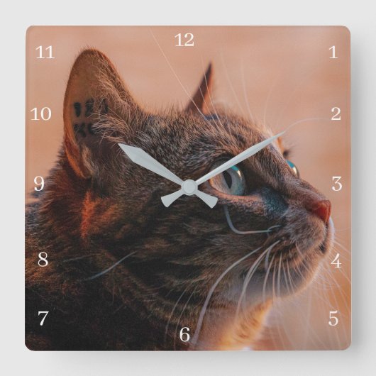 ペット猫 スクエア壁時計 (正面)
