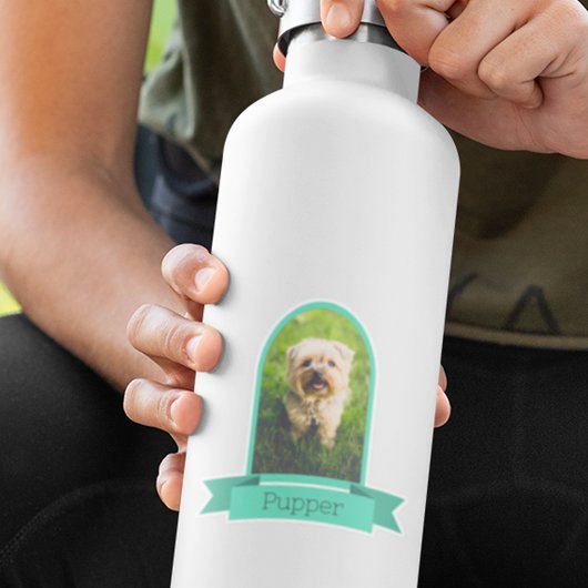 ペット用のアーチ写真 シール