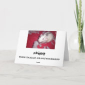 ペット用のクリスマスカード! シーズンカード (裏面)