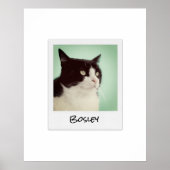 ペット用フォトレトロインスタントカメラの追加 ポスター (正面)