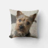 ペット用写真枕 |ポープリントトリビュート クッション (正面)