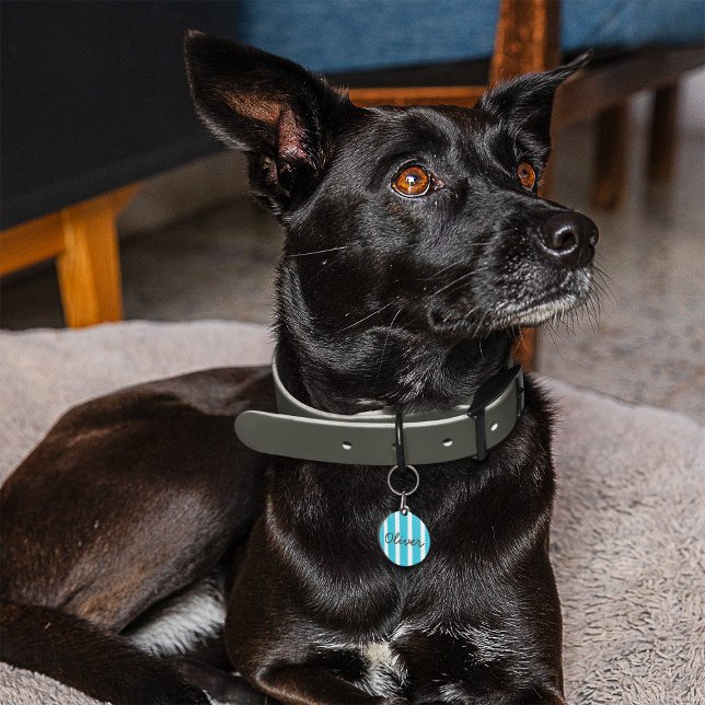 ペット用名札満載ストライプ ペット　ネームタグ (クリエイターアップロード済み)