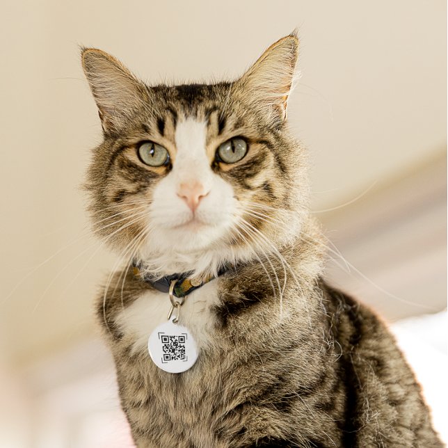 ペット用名札 | QRもしコー失ったドスキャン ペット　ネームタグ (クリエイターアップロード済み)