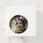 ペット用品 | フェイバータグ (インサイチュ)